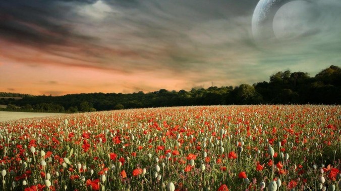 为什么女游泳运动员看起来大部分都是平胸？